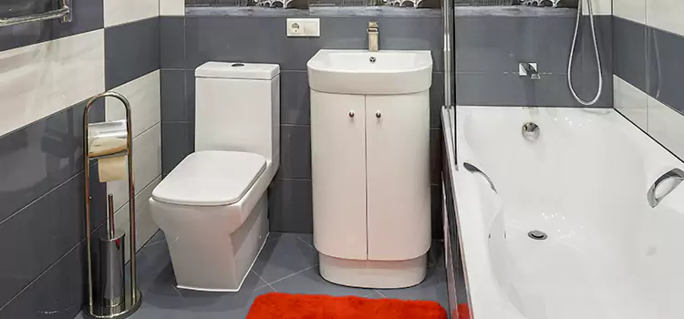 Hansgrohe Shaving Mirror Buena Park